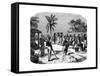 A Cotton Plantation, C1880-null-Framed Stretched Canvas