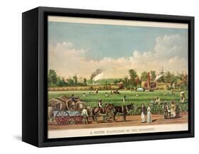 A Cotton Plantation on the Mississippi, Pub. 1884-William Aiken Walker-Framed Stretched Canvas