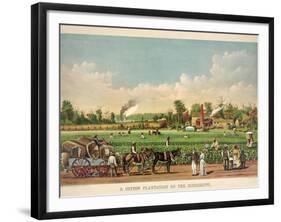 A Cotton Plantation on the Mississippi, Pub. 1884-William Aiken Walker-Framed Giclee Print