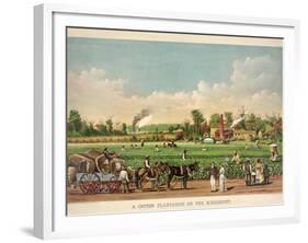 A Cotton Plantation on the Mississippi, Pub. 1884-William Aiken Walker-Framed Giclee Print