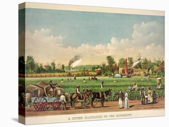 A Cotton Plantation on the Mississippi, Pub. 1884-William Aiken Walker-Stretched Canvas