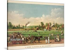 A Cotton Plantation on the Mississippi, Pub. 1884-William Aiken Walker-Stretched Canvas