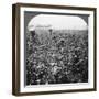 A Cotton Plantation, Rome, Georgia, USA, 1898-BL Singley-Framed Photographic Print