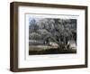 A Cotton Wood Grove, 1856-John Mix Stanley-Framed Giclee Print