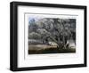 A Cotton Wood Grove, 1856-John Mix Stanley-Framed Giclee Print