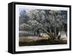 A Cotton Wood Grove, 1856-John Mix Stanley-Framed Stretched Canvas