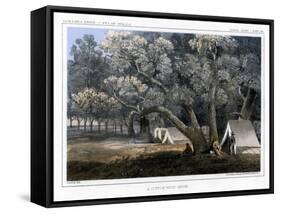 A Cotton Wood Grove, 1856-John Mix Stanley-Framed Stretched Canvas