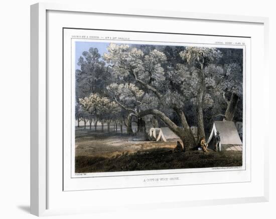 A Cotton Wood Grove, 1856-John Mix Stanley-Framed Giclee Print