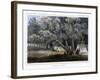 A Cotton Wood Grove, 1856-John Mix Stanley-Framed Giclee Print