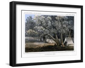 A Cotton Wood Grove, 1856-John Mix Stanley-Framed Giclee Print