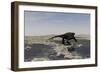 A Cotylorhynchus Along the Shores of a Prehistoric Environment-null-Framed Art Print