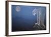 A Cougar Stands on a Cliff Ledge, Surveying the Mountains Surrounding It-Gordon Semmens-Framed Giclee Print