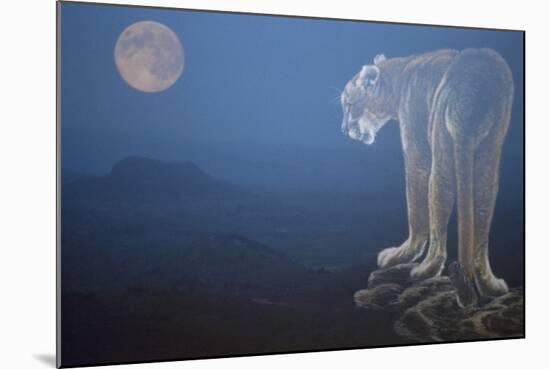 A Cougar Stands on a Cliff Ledge, Surveying the Mountains Surrounding It-Gordon Semmens-Mounted Giclee Print