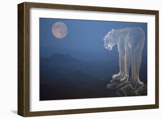 A Cougar Stands on a Cliff Ledge, Surveying the Mountains Surrounding It-Gordon Semmens-Framed Giclee Print