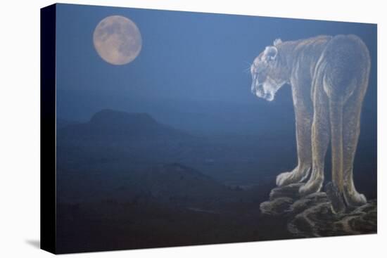 A Cougar Stands on a Cliff Ledge, Surveying the Mountains Surrounding It-Gordon Semmens-Stretched Canvas