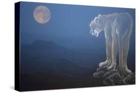 A Cougar Stands on a Cliff Ledge, Surveying the Mountains Surrounding It-Gordon Semmens-Stretched Canvas