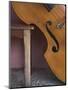 A Counterbass Leaning Against a Wooden Table, Trinidad, Sancti Spiritus Province, West Indies-Eitan Simanor-Mounted Photographic Print
