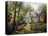 A Country Gem-Nicky Boehme-Stretched Canvas