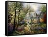 A Country Gem-Nicky Boehme-Framed Stretched Canvas