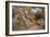 A Country Lane (W/C on Paper)-Arthur Claude Strachan-Framed Giclee Print