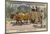 A Country Ox Cart, Mexico-null-Mounted Giclee Print