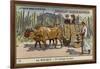 A Country Ox Cart, Mexico-null-Framed Giclee Print