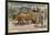 A Country Ox Cart, Mexico-null-Framed Giclee Print