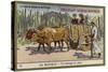 A Country Ox Cart, Mexico-null-Stretched Canvas