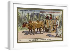 A Country Ox Cart, Mexico-null-Framed Giclee Print