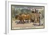 A Country Ox Cart, Mexico-null-Framed Giclee Print