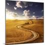 A Country Road in Field at Sunset Against Moody Sky, Tuscany, Italy-null-Mounted Photographic Print