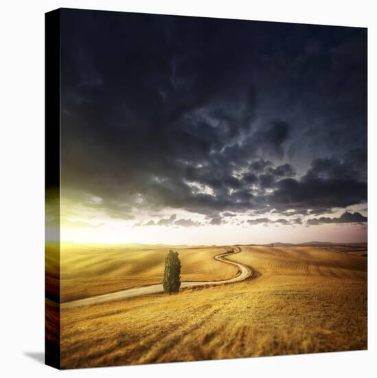 A Country Road in Field at Sunset Against Moody Sky, Tuscany, Italy-null-Stretched Canvas