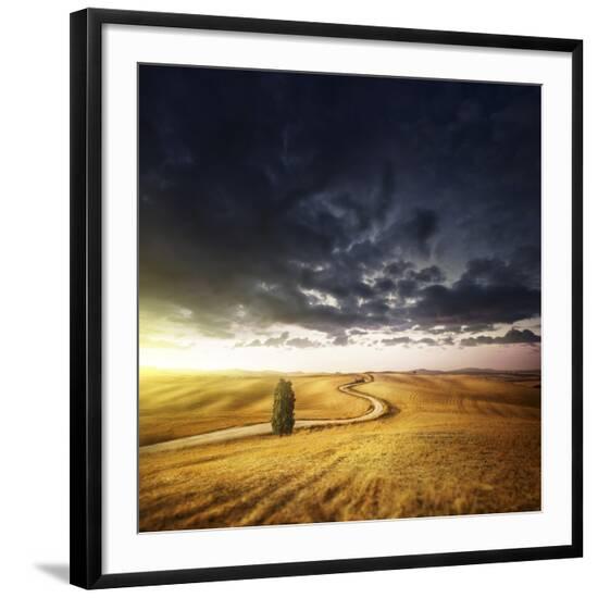 Photographic Print, , large