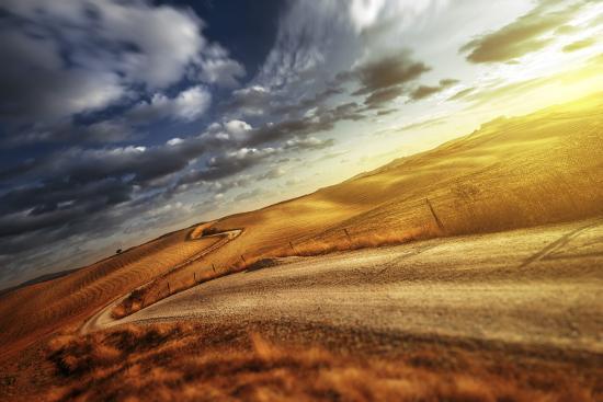 Photographic Print, , large