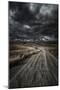 A Country Road in Field with Stormy Sky Above, Tuscany, Italy-null-Mounted Premium Photographic Print