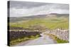 A Country Road in the Yorkshire Dales Near to Malham, Yorkshire, England, United Kingdom, Europe-Julian Elliott-Stretched Canvas