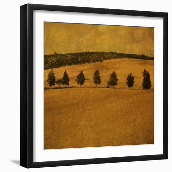 A Countryside View with a Row of Trees-Trigger Image-Framed Photographic Print