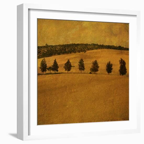 A Countryside View with a Row of Trees-Trigger Image-Framed Photographic Print