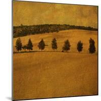 A Countryside View with a Row of Trees-Trigger Image-Mounted Photographic Print
