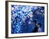 A Couple Goes Through the Sea of Illumination, Tokyo's Business District of Shiodome Dec. 1, 2006-null-Framed Photographic Print