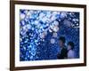 A Couple Goes Through the Sea of Illumination, Tokyo's Business District of Shiodome Dec. 1, 2006-null-Framed Photographic Print