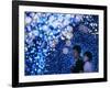 A Couple Goes Through the Sea of Illumination, Tokyo's Business District of Shiodome Dec. 1, 2006-null-Framed Photographic Print