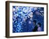 A Couple Goes Through the Sea of Illumination, Tokyo's Business District of Shiodome Dec. 1, 2006-null-Framed Photographic Print