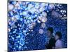 A Couple Goes Through the Sea of Illumination, Tokyo's Business District of Shiodome Dec. 1, 2006-null-Mounted Photographic Print