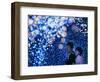 A Couple Goes Through the Sea of Illumination, Tokyo's Business District of Shiodome Dec. 1, 2006-null-Framed Photographic Print