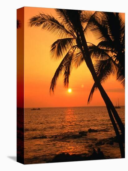 A Couple in Silhouette, Enjoying a Romantic Sunset Beneath the Palm Trees in Kailua-Kona, Hawaii-Ann Cecil-Stretched Canvas