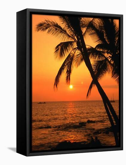 A Couple in Silhouette, Enjoying a Romantic Sunset Beneath the Palm Trees in Kailua-Kona, Hawaii-Ann Cecil-Framed Stretched Canvas