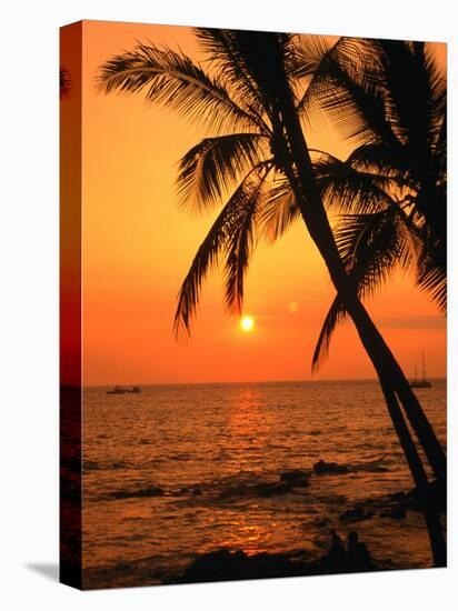 A Couple in Silhouette, Enjoying a Romantic Sunset Beneath the Palm Trees in Kailua-Kona, Hawaii-Ann Cecil-Stretched Canvas