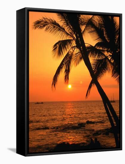 A Couple in Silhouette, Enjoying a Romantic Sunset Beneath the Palm Trees in Kailua-Kona, Hawaii-Ann Cecil-Framed Stretched Canvas