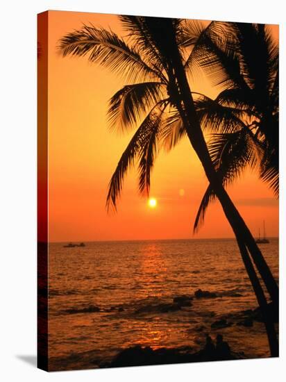 A Couple in Silhouette, Enjoying a Romantic Sunset Beneath the Palm Trees in Kailua-Kona, Hawaii-Ann Cecil-Stretched Canvas
